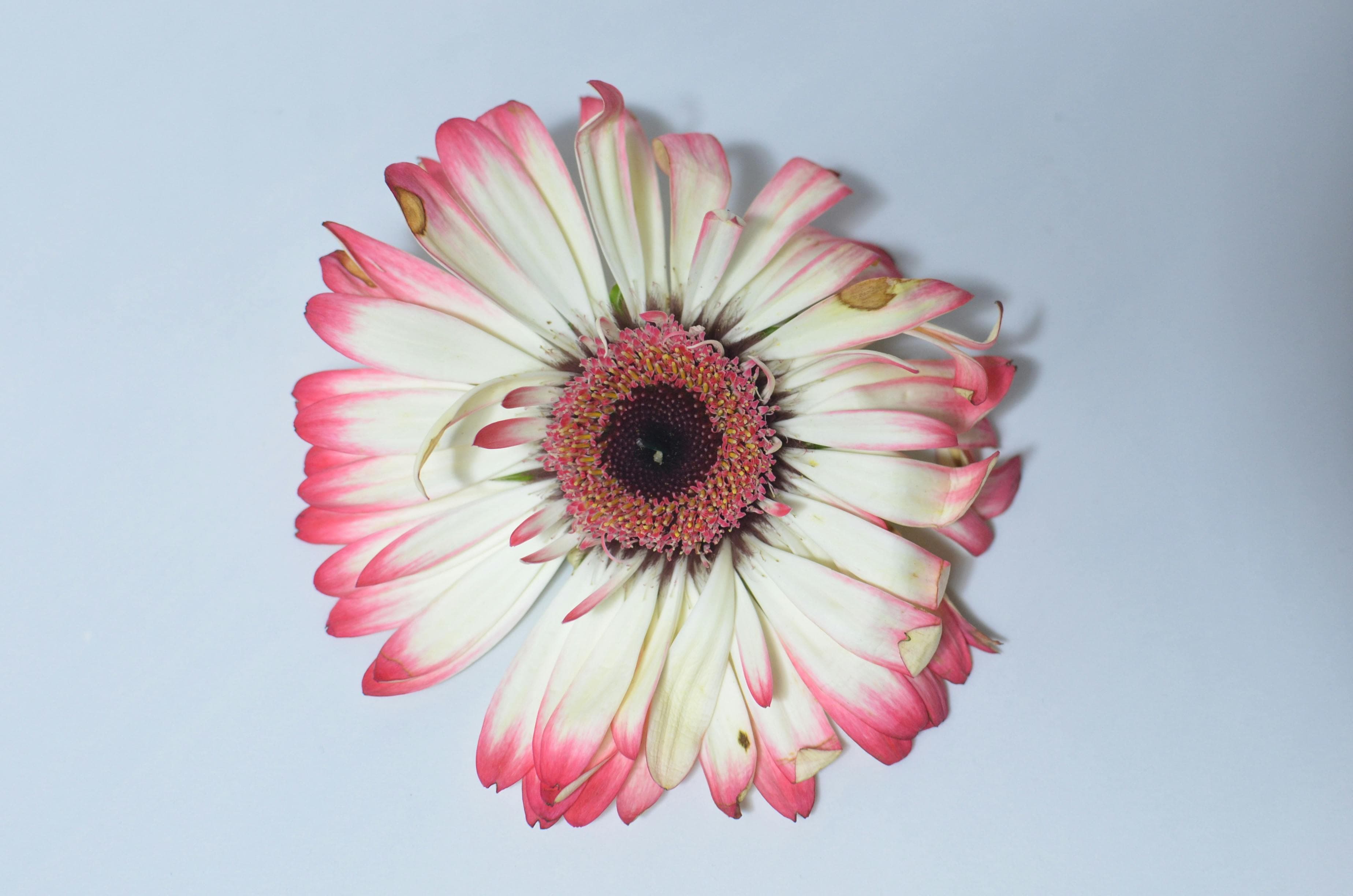 Handcrafted Jewelry
